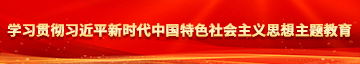 大鸡巴操小逼子高清无码学习贯彻习近平新时代中国特色社会主义思想主题教育